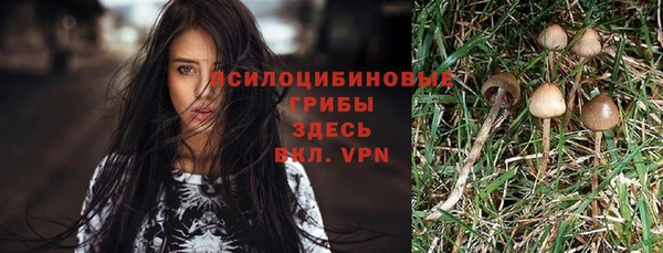 прущая мука Зерноград