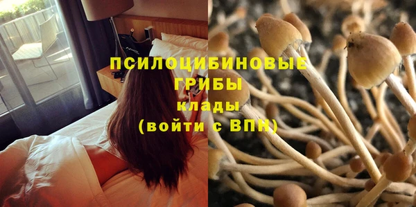 гидропоника Зеленодольск